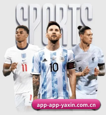五大服务分区,信息按项目分类 - yaxin
